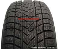 Gripmax SureGrip eWinter 85V MFS EV Zimní