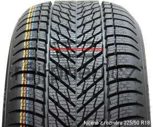 Dunlop Winter 95V XL Zimní